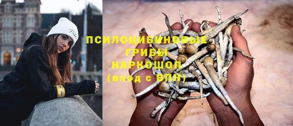 гашишное масло Новодвинск
